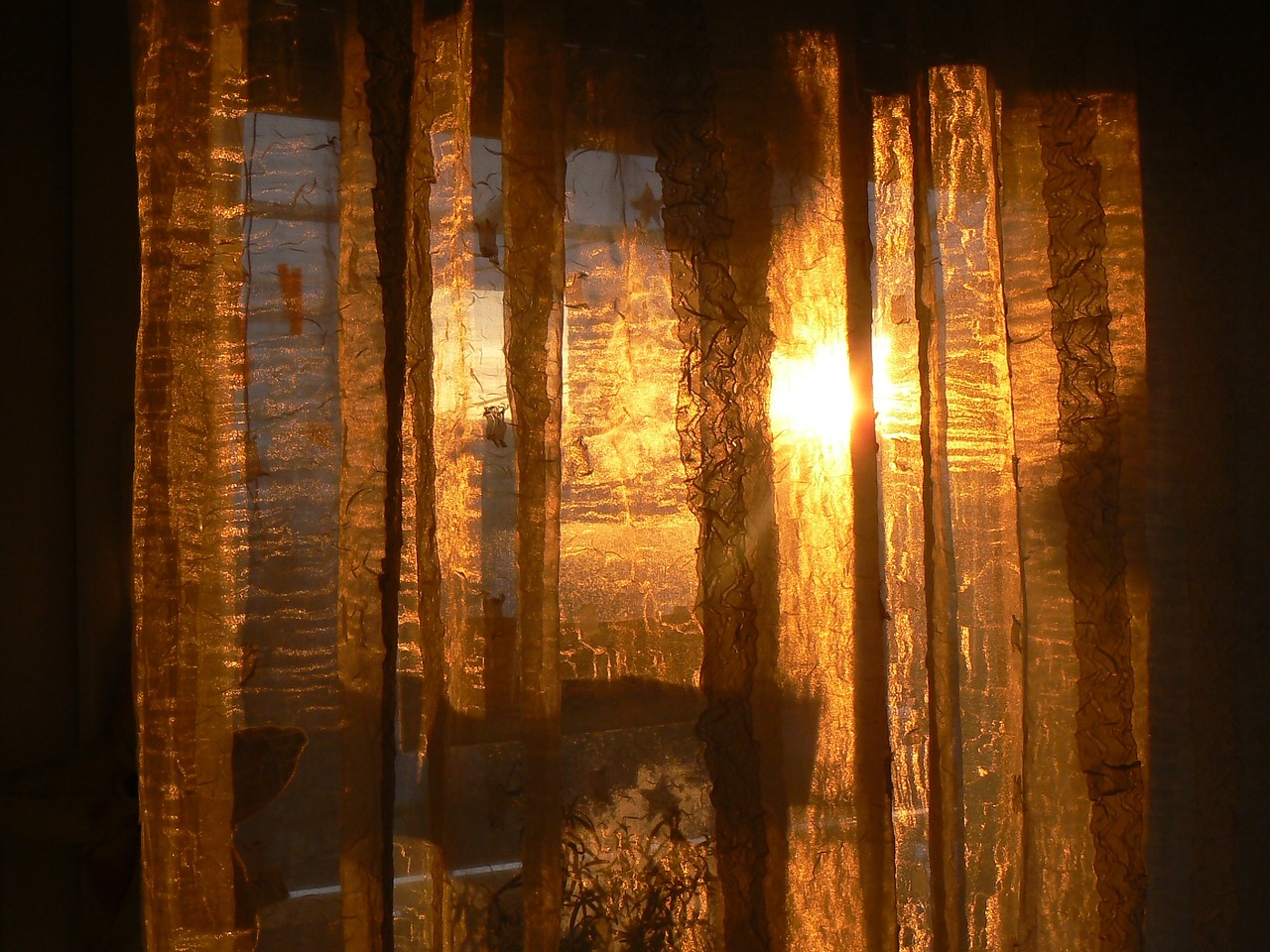 curtain, window, sun